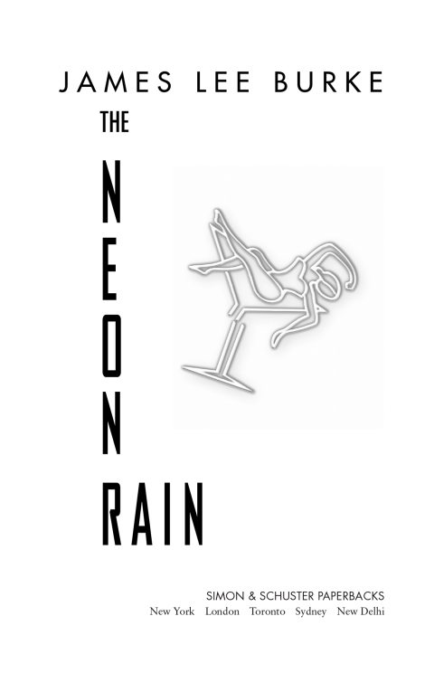 Cover image for book The Neon Rain