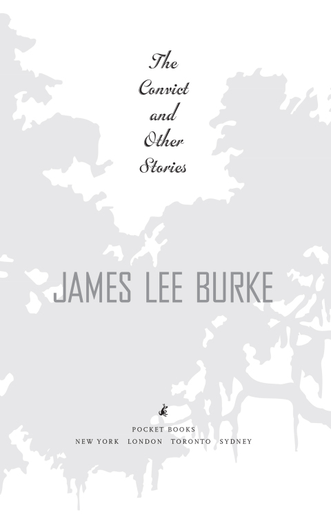 Cover image for book The Convict and Other Stories