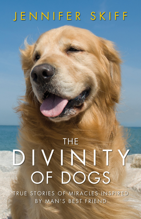 Cover image for book The Divinity of Dogs