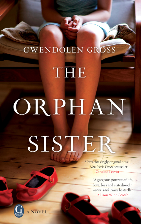 Cover image for book The Orphan Sister