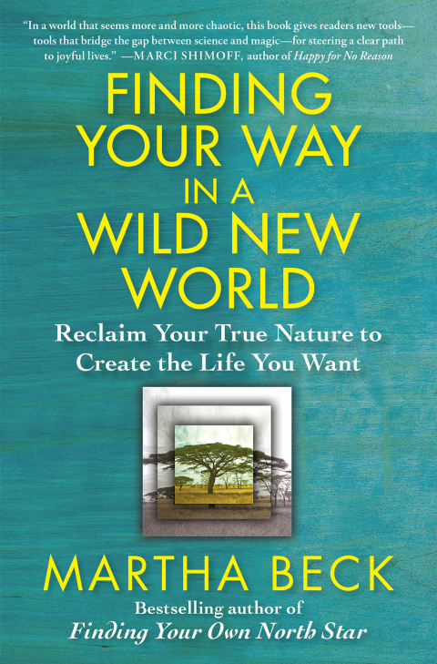 Cover image for book Finding Your Way in a Wild New World