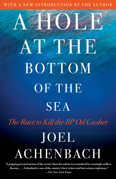 Cover image for book A Hole at the Bottom of the Sea