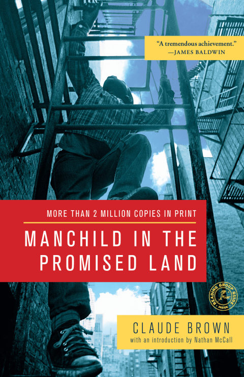 Cover image for book Manchild in the Promised Land