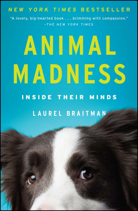 Cover image for book Animal Madness