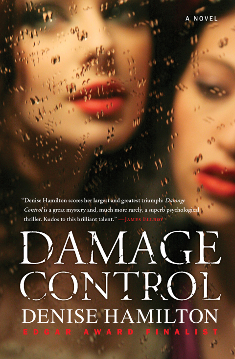 Cover image for book Damage Control