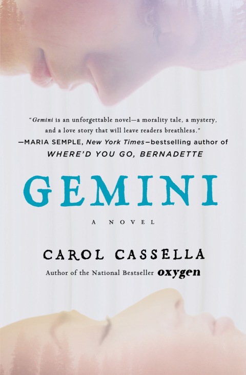 Cover image for book Gemini