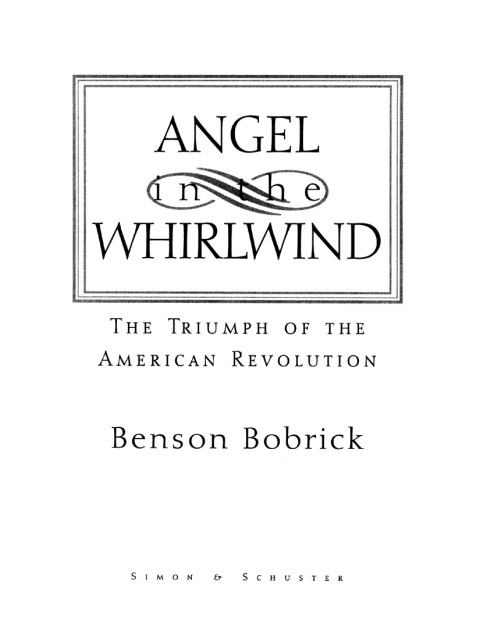 Cover image for book Angel in the Whirlwind
