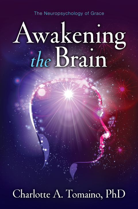 Cover image for book Awakening the Brain