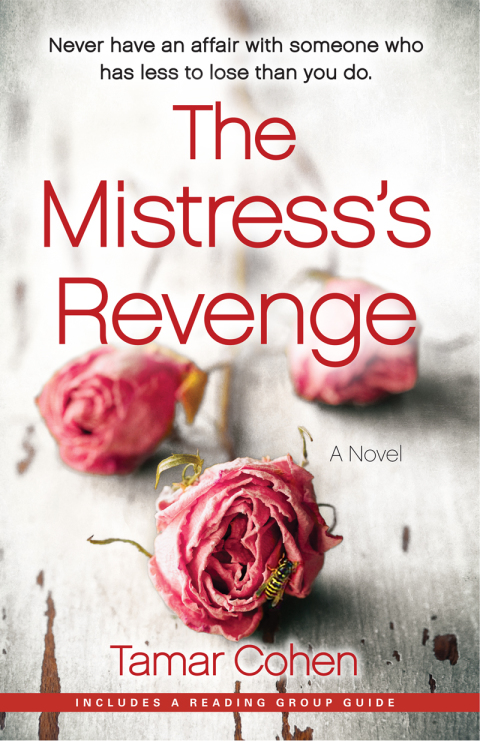 Cover image for book The Mistress's Revenge