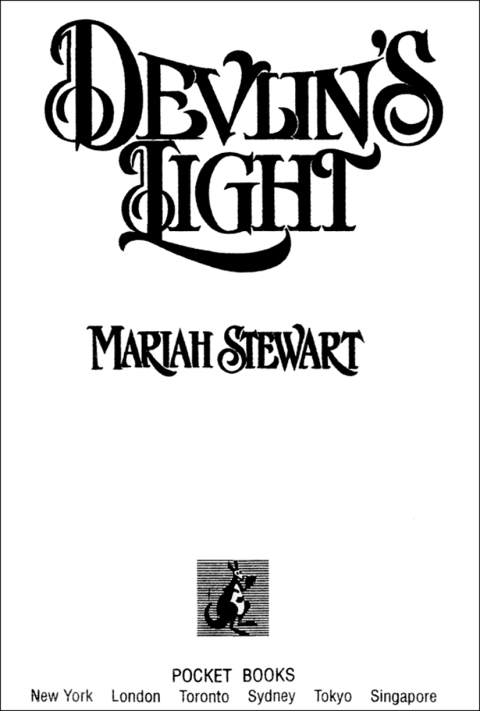 Cover image for book Devlin's Light