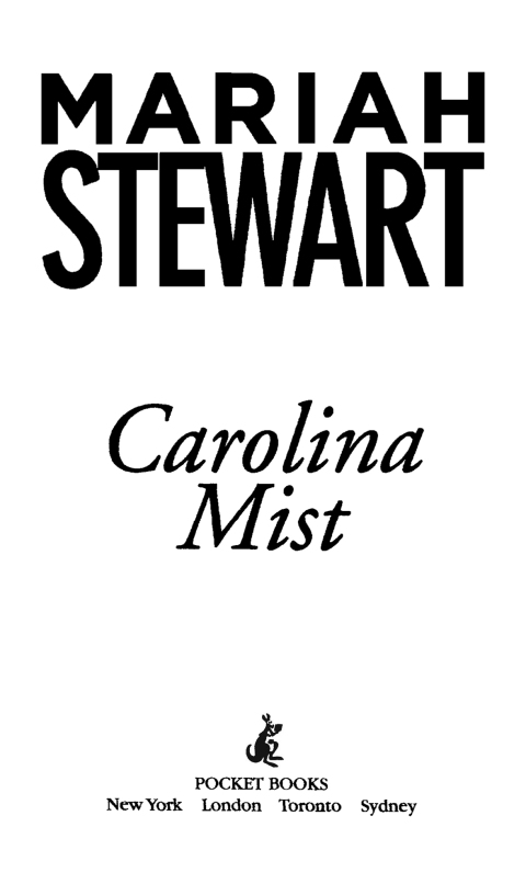 Cover image for book Carolina Mist