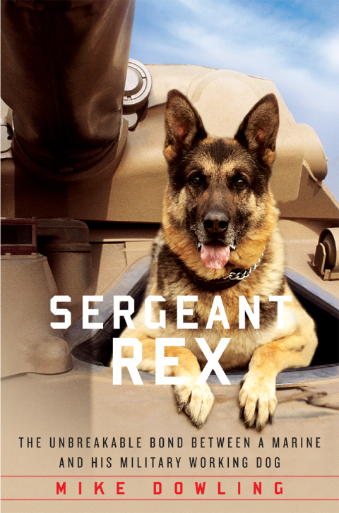 Cover image for book Sergeant Rex