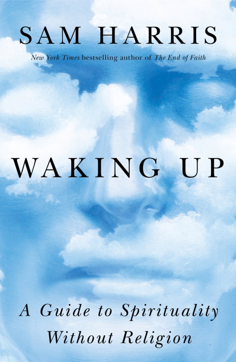 Cover image for book Waking Up