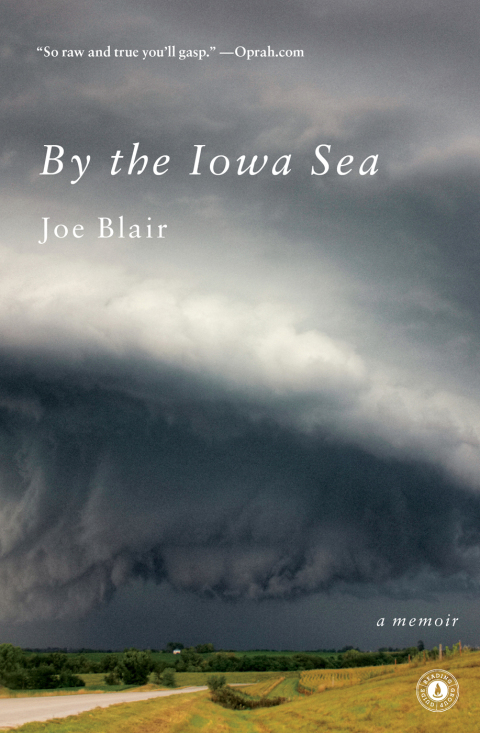 Cover image for book By the Iowa Sea