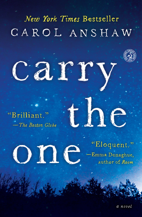 Cover image for book Carry the One