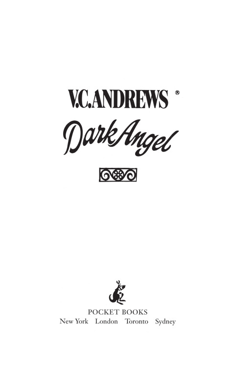 Cover image for book Dark Angel