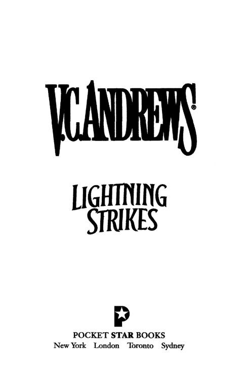 Cover image for book Lightning Strikes