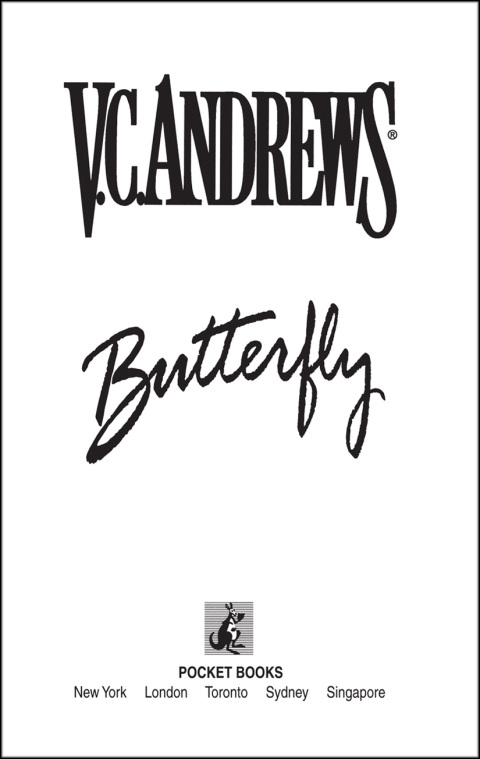 Cover image for book Butterfly