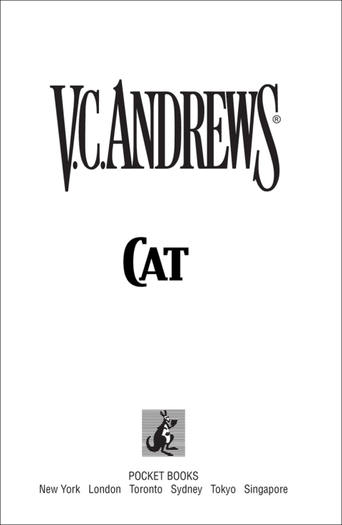 Cover image for book Cat