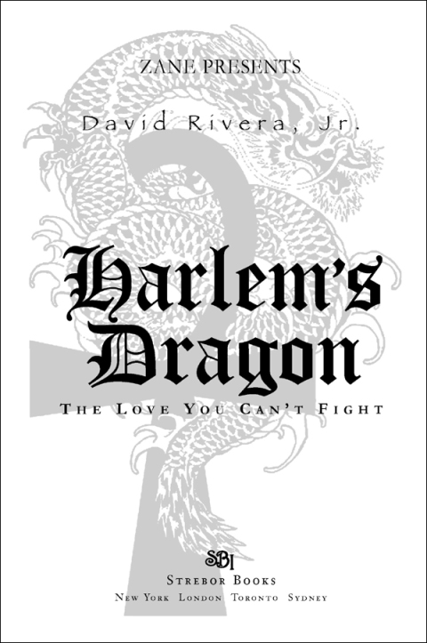 Cover image for book Harlem's Dragon