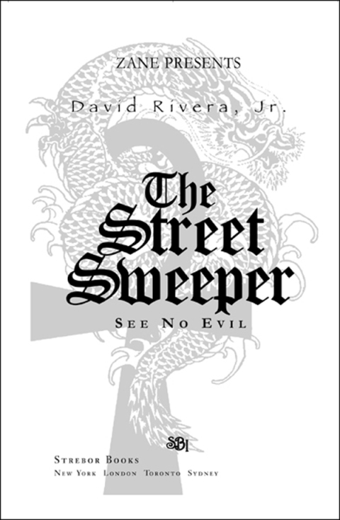 Cover image for book The Street Sweeper