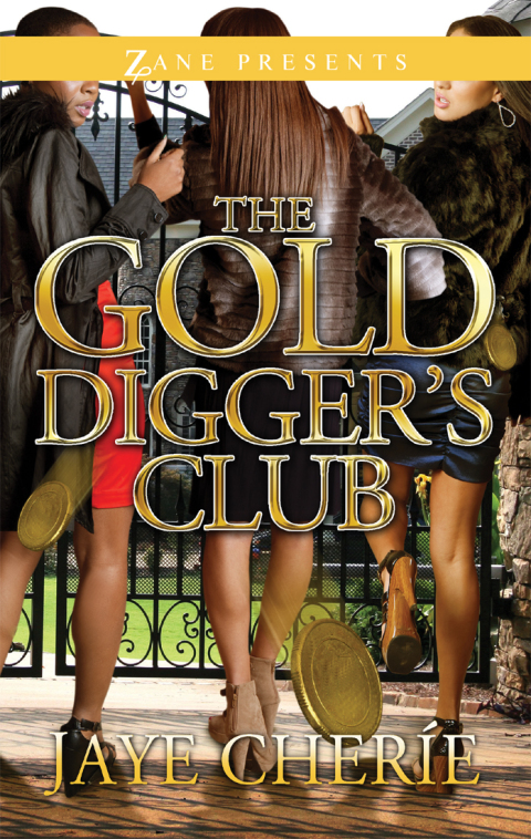 Cover image for book The Golddigger's Club