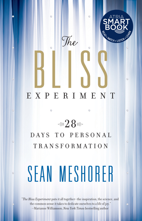 Cover image for book The Bliss Experiment