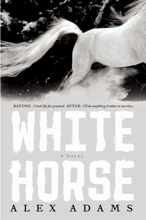 Cover image for book White Horse