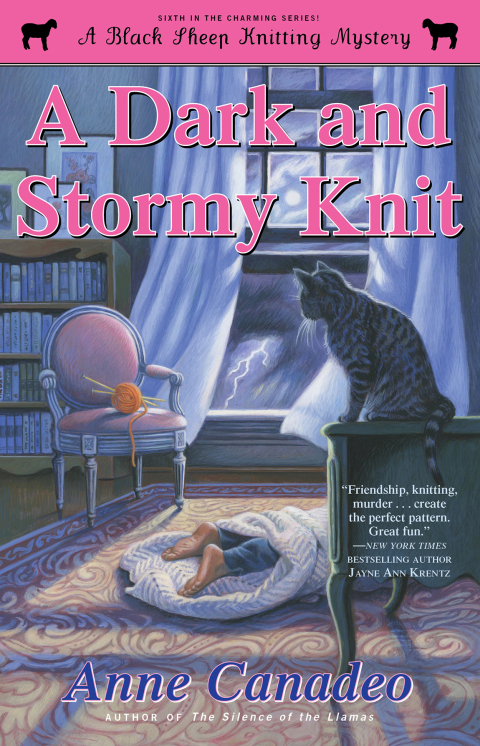 Cover image for book A Dark and Stormy Knit