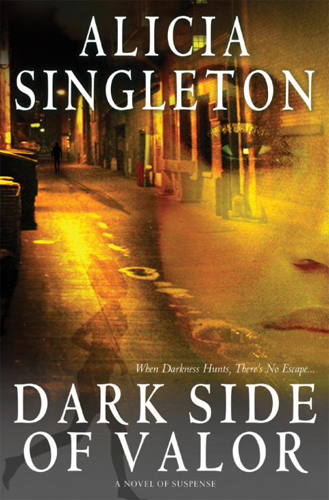 Cover image for book Dark Side of Valor