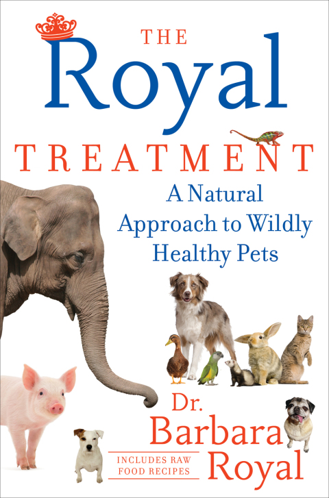 Cover image for book The Royal Treatment