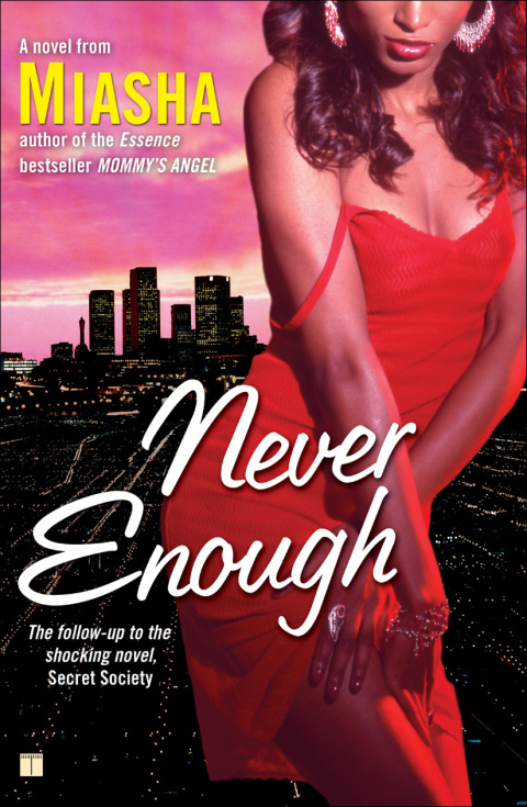 Cover image for book Never Enough