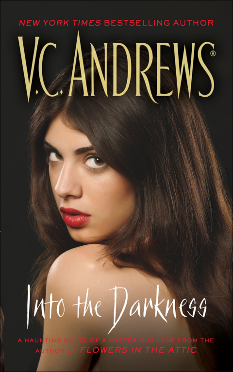 Cover image for book Into the Darkness