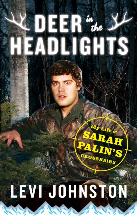 Cover image for book Deer in the Headlights