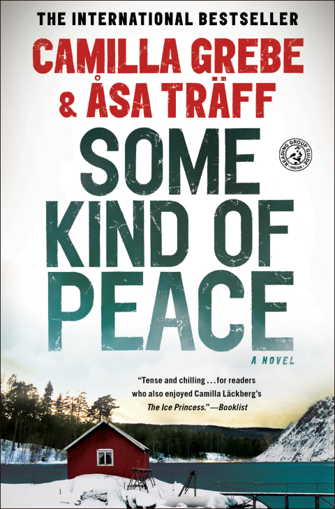 Cover image for book Some Kind of Peace