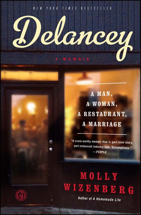 Cover image for book Delancey