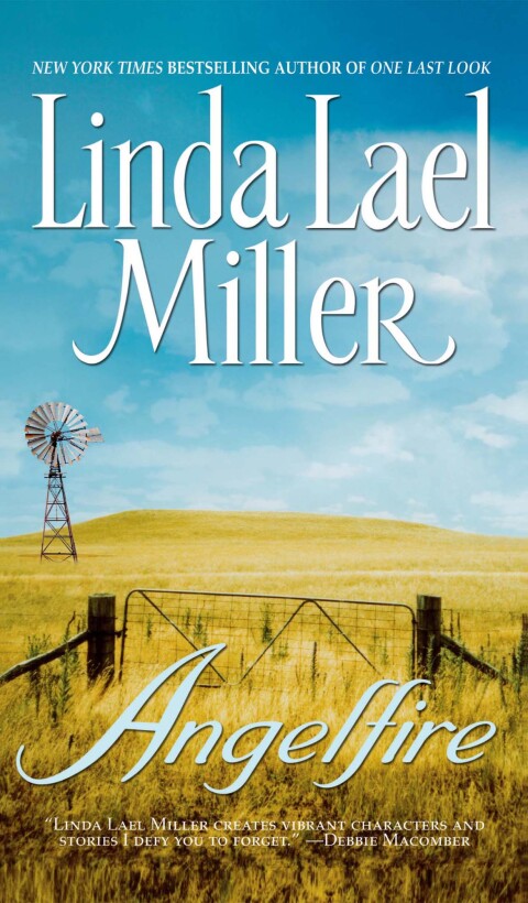 Cover image for book Angelfire
