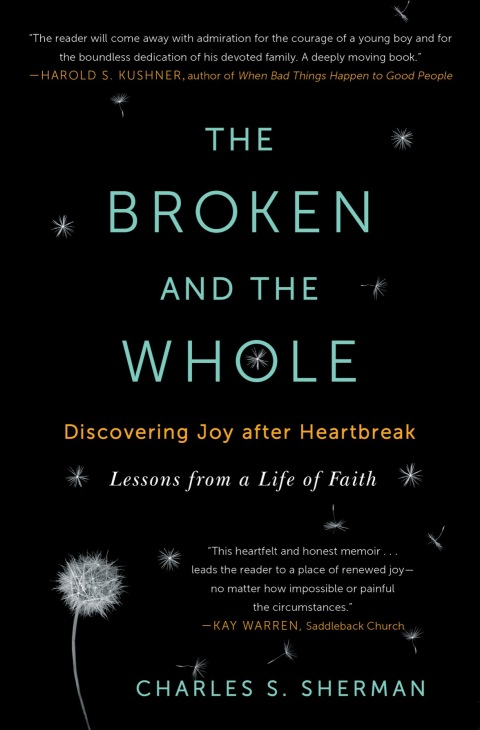 Cover image for book The Broken and the Whole
