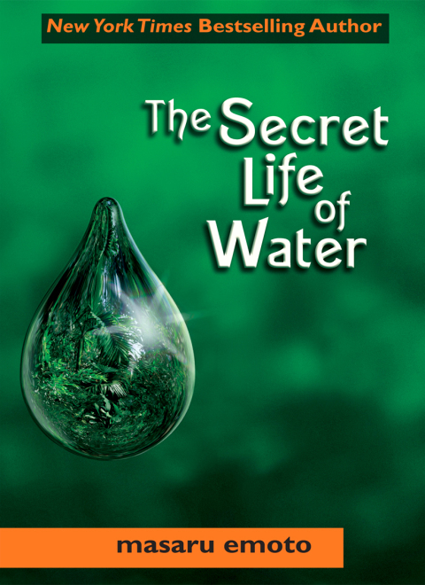 Cover image for book The Secret Life of Water
