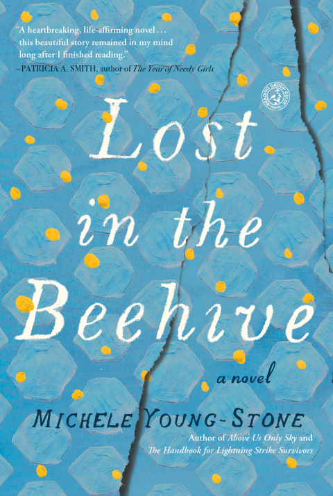 Cover image for book Lost in the Beehive