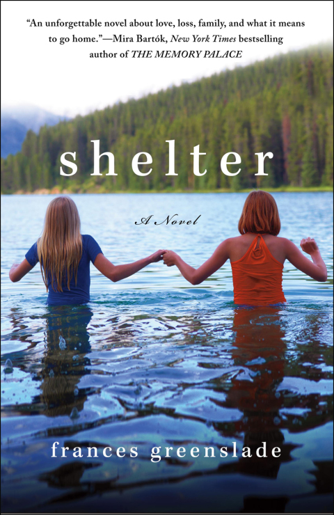Cover image for book Shelter