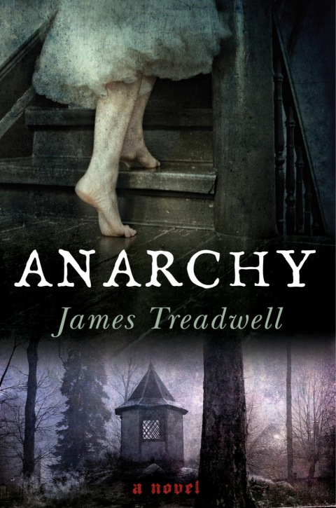 Cover image for book Anarchy