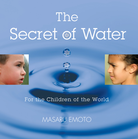 Cover image for book The Secret of Water