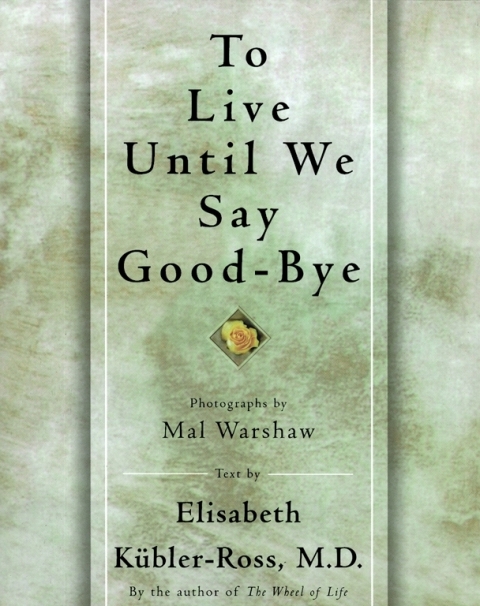 Cover image for book TO LIVE UNTIL WE SAY GOOD BYE