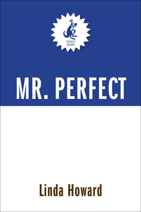Cover image for book Mr Perfect