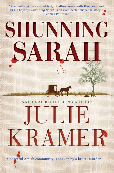 Cover image for book Shunning Sarah