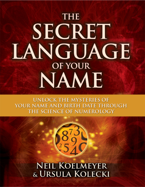 Cover image for book The Secret Language of Your Name