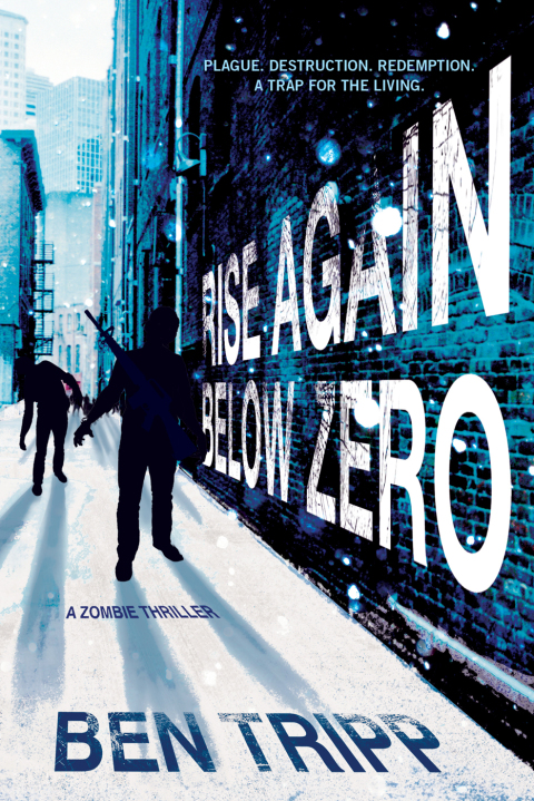 Cover image for book Rise Again Below Zero