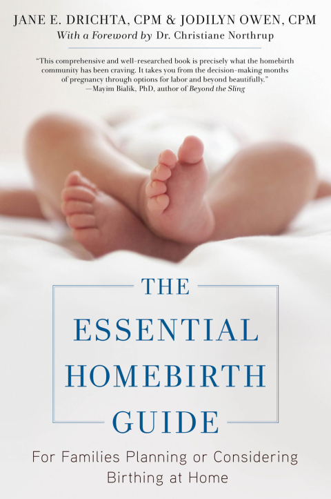 Cover image for book The Essential Homebirth Guide