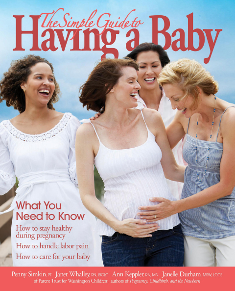 Cover image for book The Simple Guide To Having A Baby (2016)
